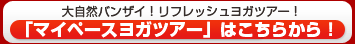 �}�C�X�y�[�X���K�c�A�[