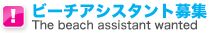 �r�[�`�A�V�X�^���g��W
