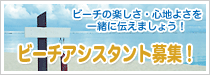 �u�r�[�`�A�V�X�^���g��W