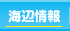 �C�ӏ��