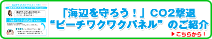 uCӂ낤IvCO2ށgr[`NNplĥЉ